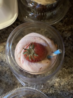 Honey Bee Bakery and Catering