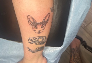 Pirates Well Tattoo Studio tattoo studio in Port Isabel