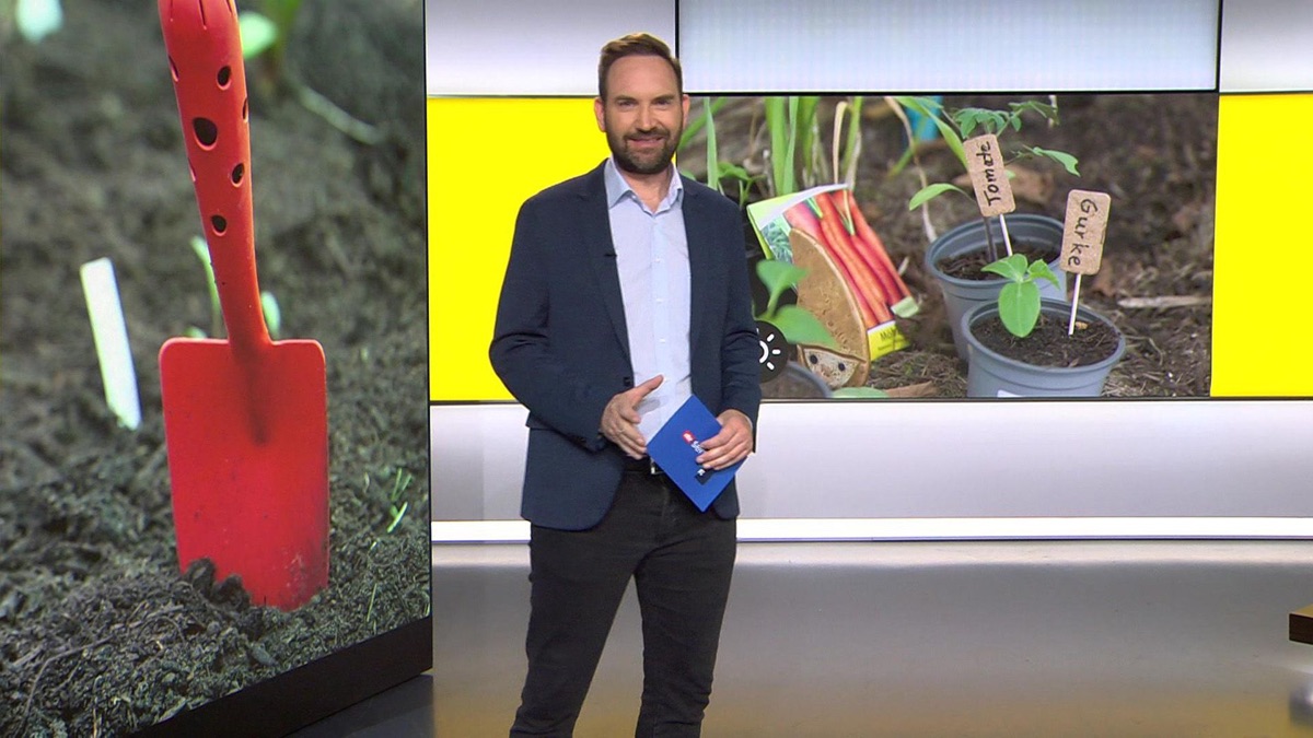 Thema u.a. PflanzenApps helfen beim Gärtnern ntv Service (Staffel