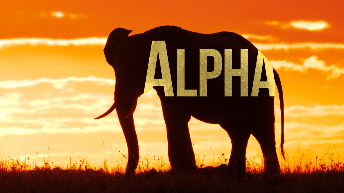 ‎Alpha - Apple TV