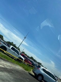 La Pulgaseagoville