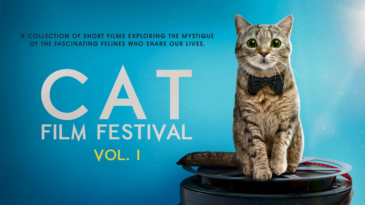 Cat Film Festival - Apple TV