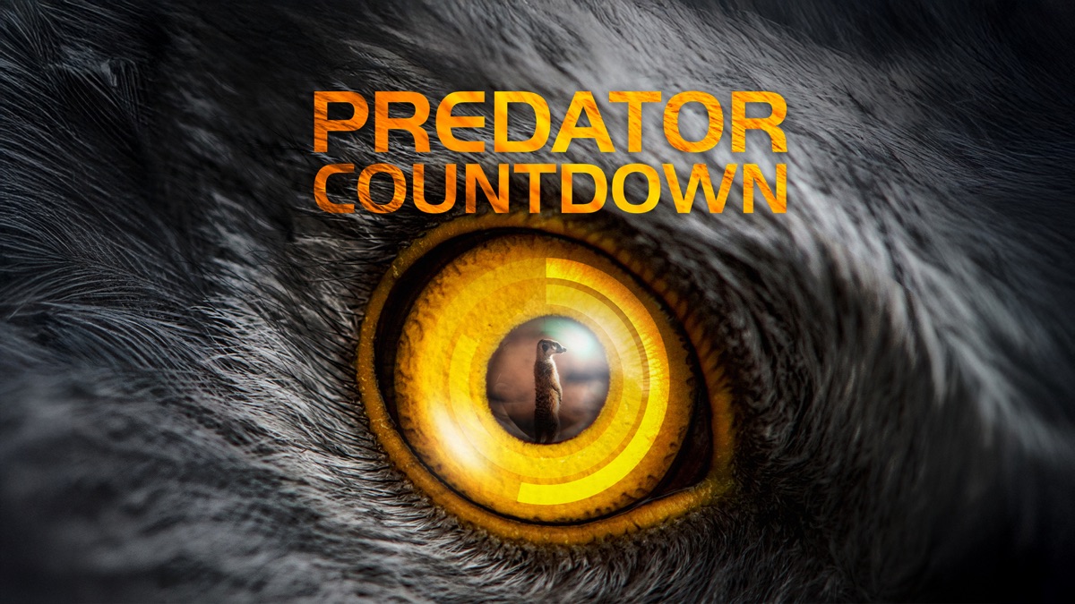 ‎Predator Countdown - Apple TV