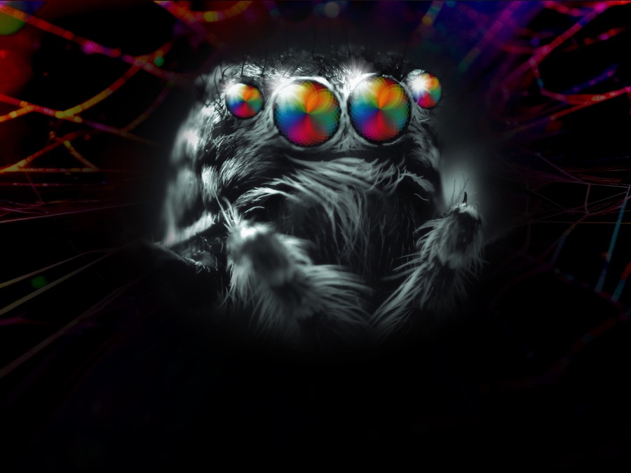 Spider Vision: Decoding Color - Apple TV (CA)
