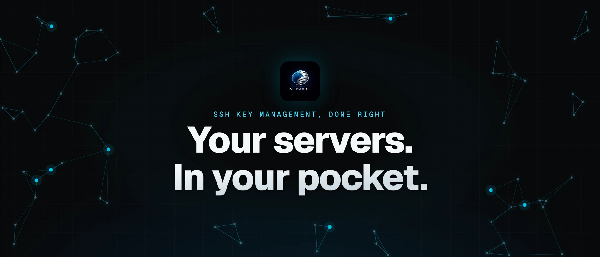 NetShell - SSH Terminal product page header