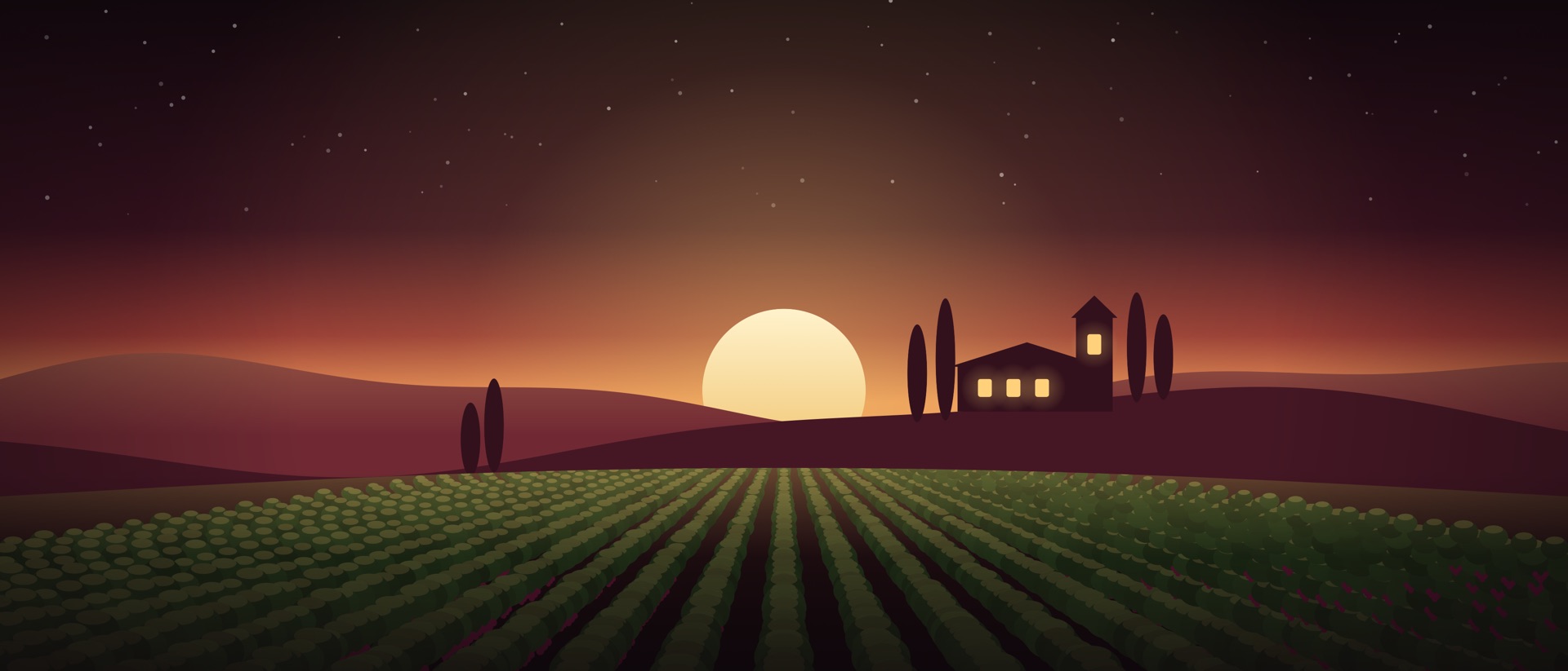 Vineyard Director product page header