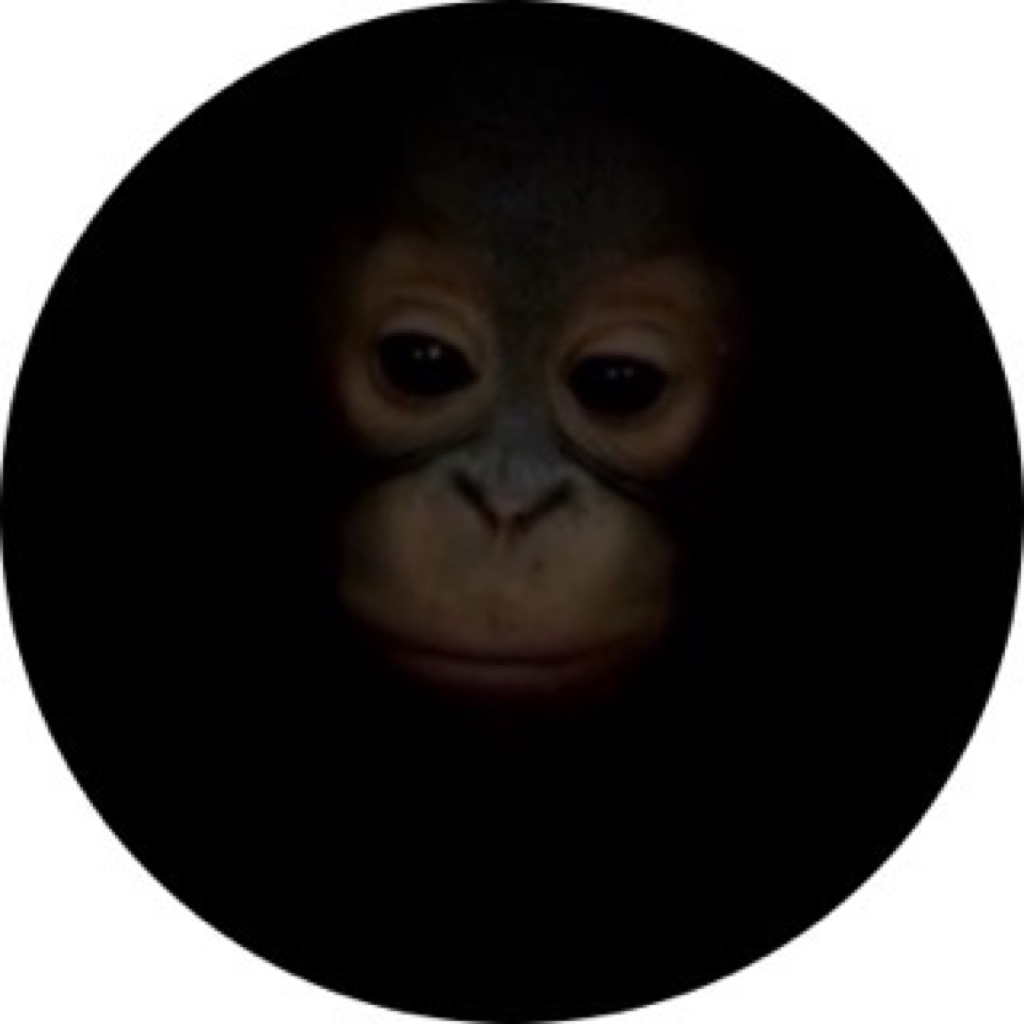 AppleMusic profile picture for @limerenct
