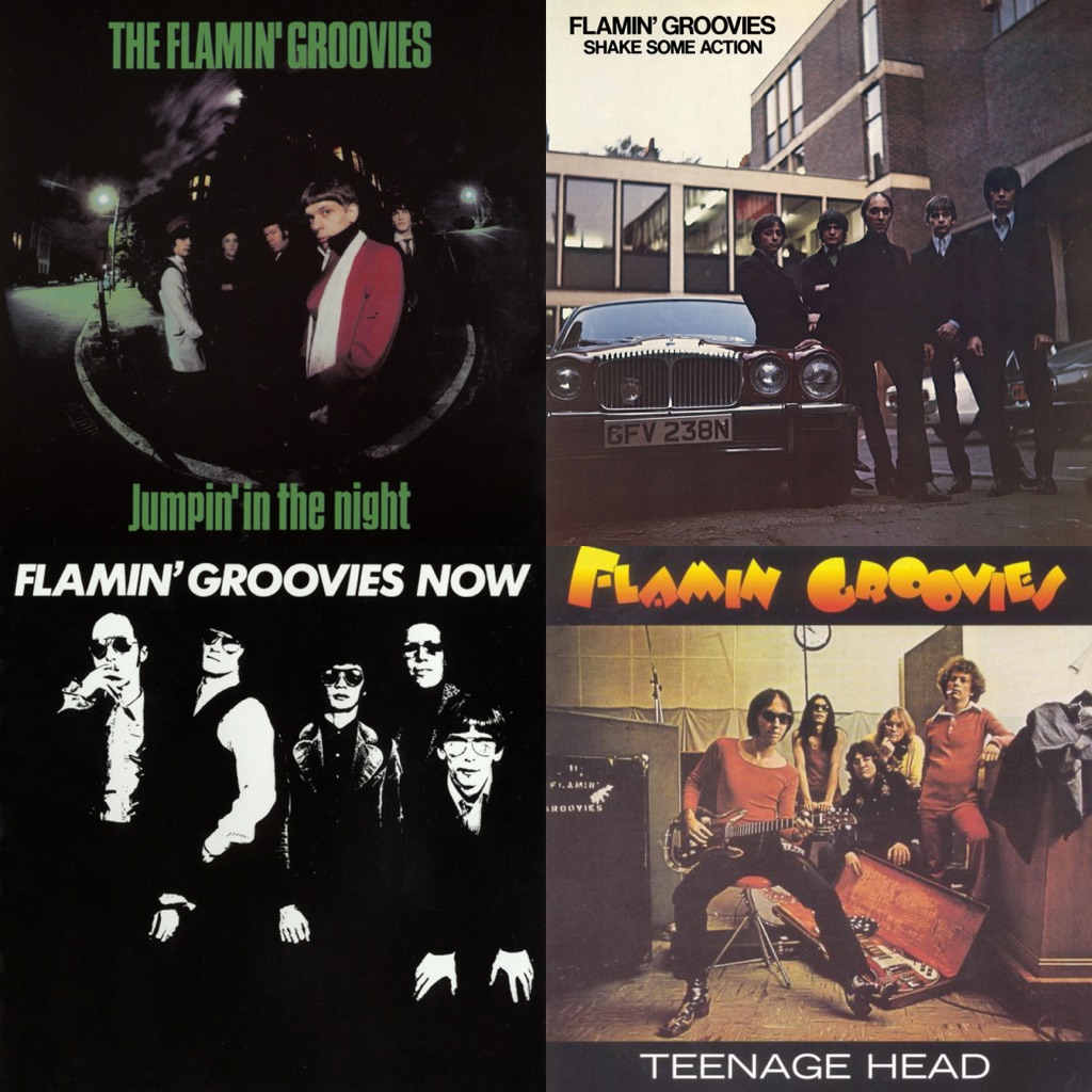 Flamin' Groovies: Next Steps
