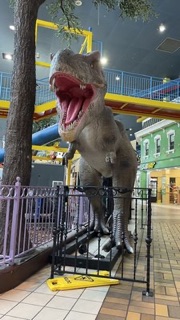 Woodbine Mall & Fantasy Fair