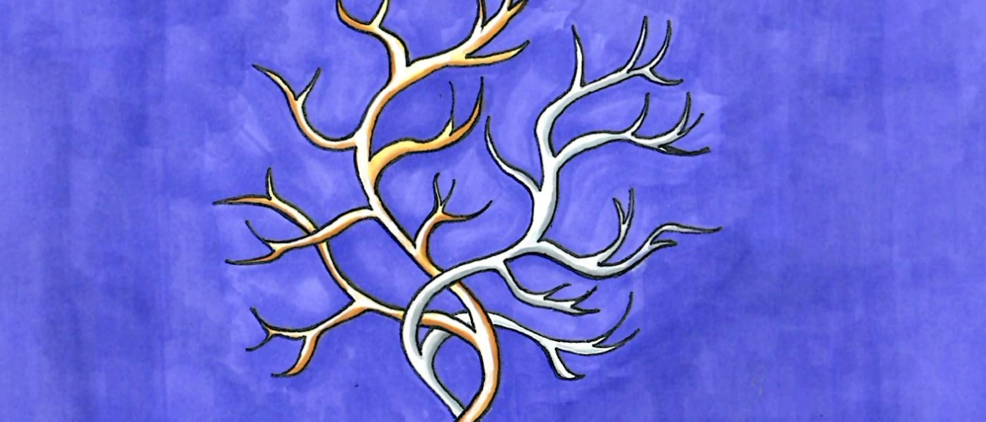 Sil-Morë product page header