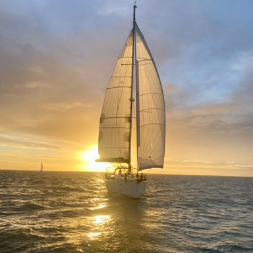 AppleMusic profile picture for @sailing