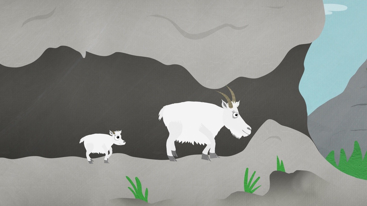 ‎Goats - Awesome Animals and Mini Me (Series 1, Episode 12) - Apple TV (UK)