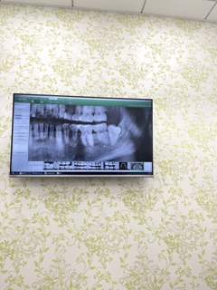 M Dental Group