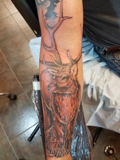 Blue Fox Tattoo photo 5