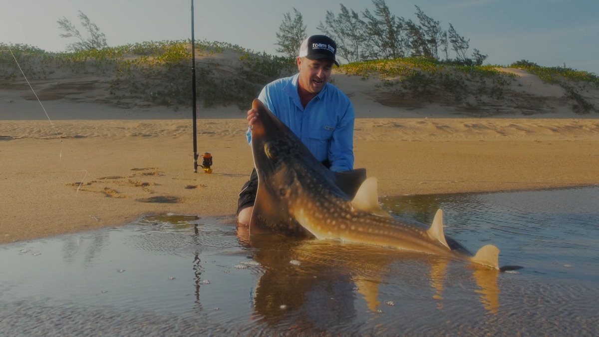 ‎Rocking The Surf – Reel Africa (Season 2, Episode 4) - Apple TV (CA)