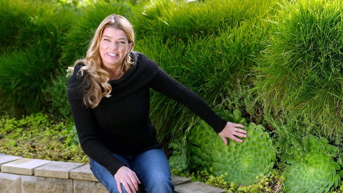 ‎Episode 25 – Better Homes and Gardens (Season 29, Episode 25) - Apple ...