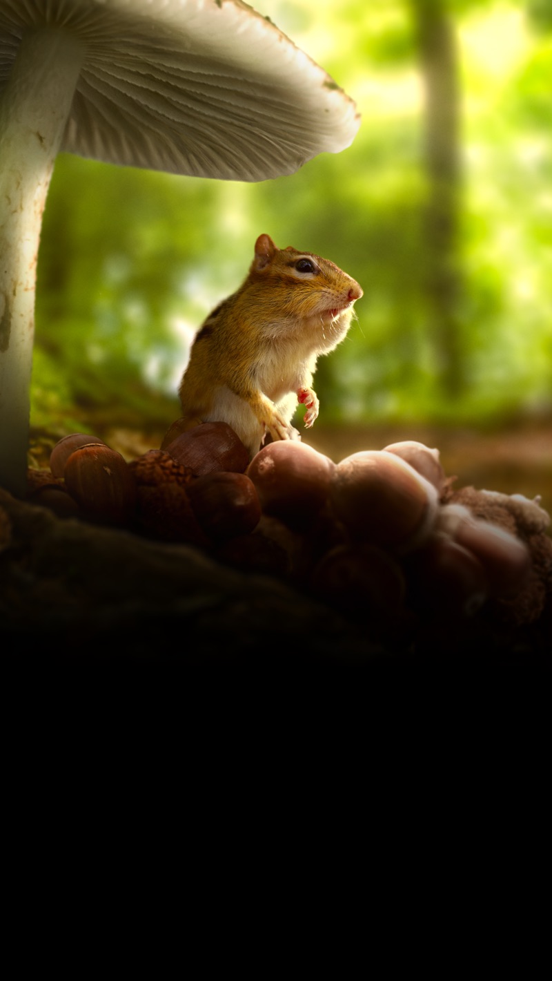Tiny World