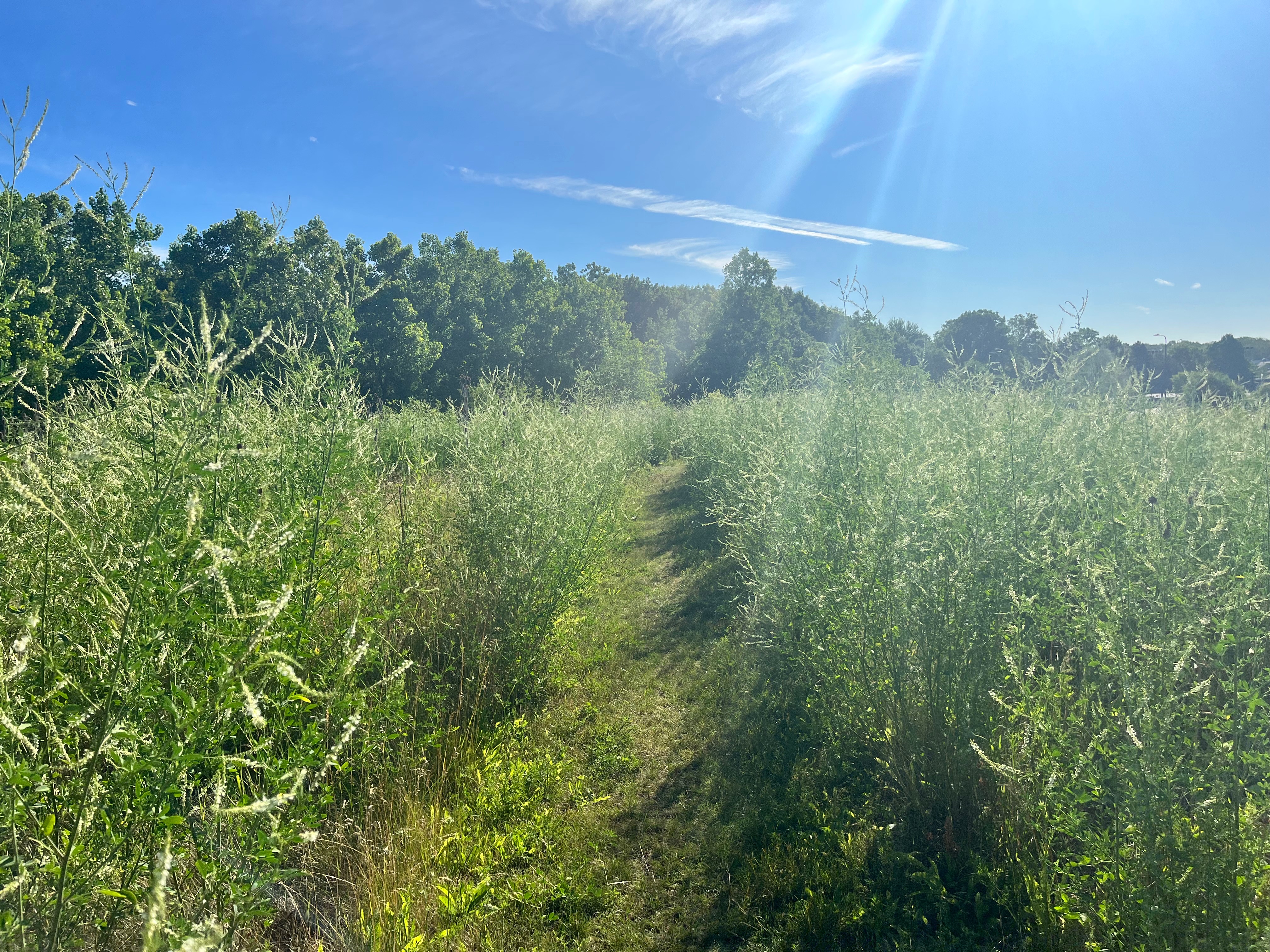 Philipp J. Huber Park