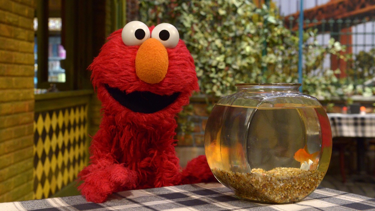 ‎Elmo and Abby's Ocean Adventure - Sesame Street (Season 54, Episode 21 ...