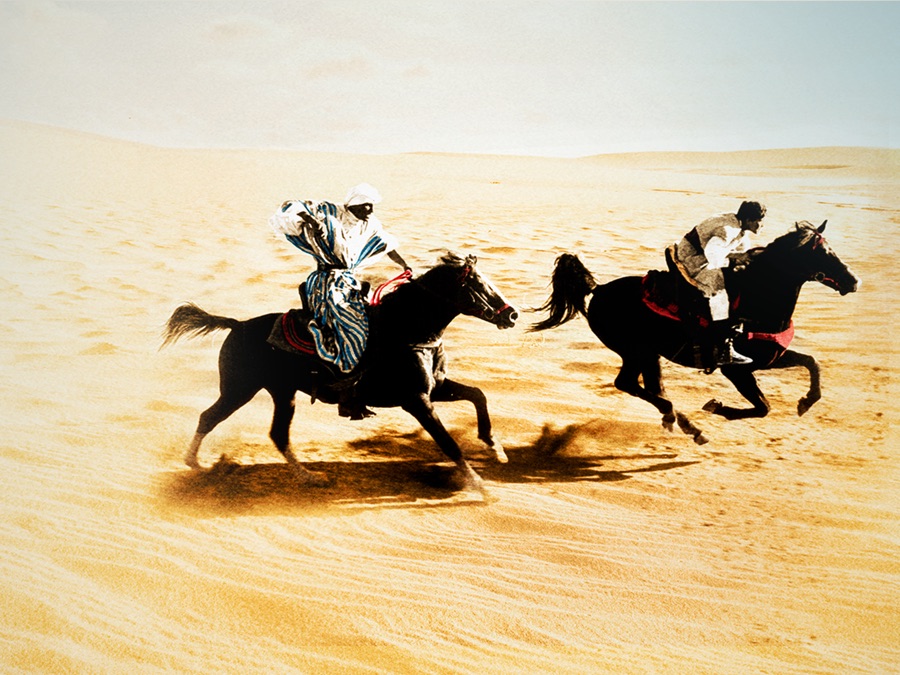 The Black Stallion Returns - Apple TV