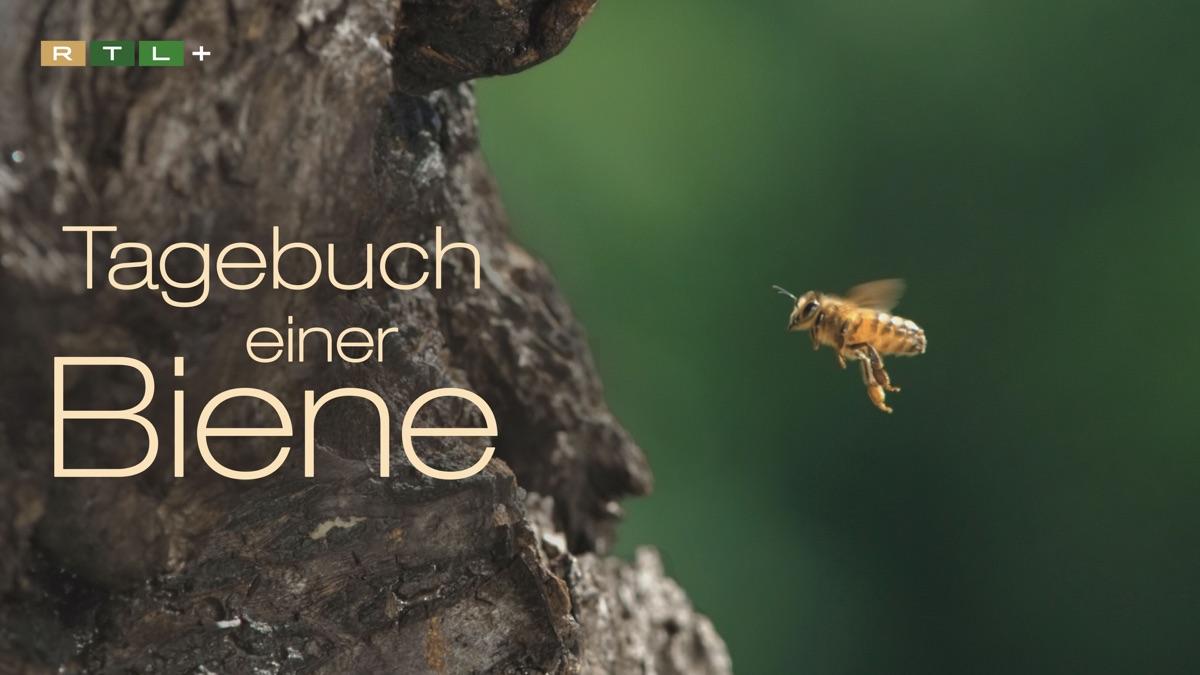 A Bee's Diary - Apple TV
