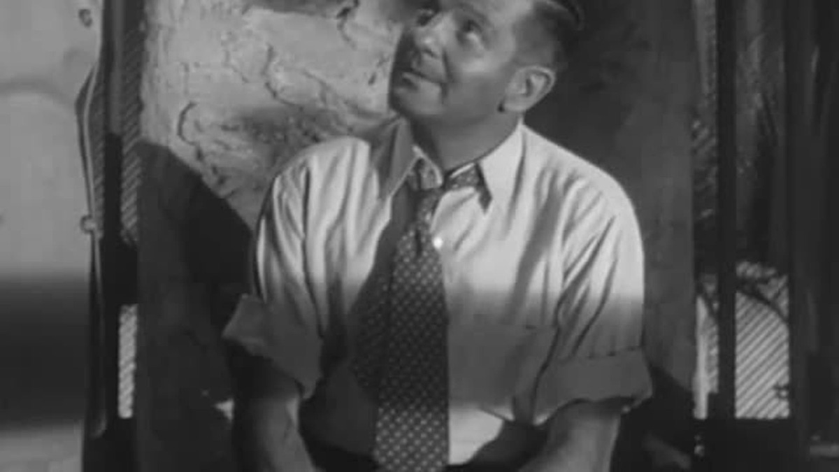 Sunflower Seed Story Dangerous Assignment (Season 2, Episode 5