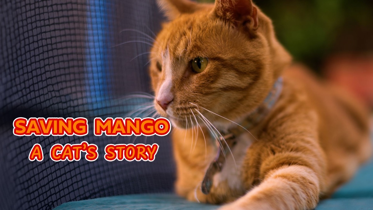 ‎Saving Mango - A Cat's Story - Apple TV
