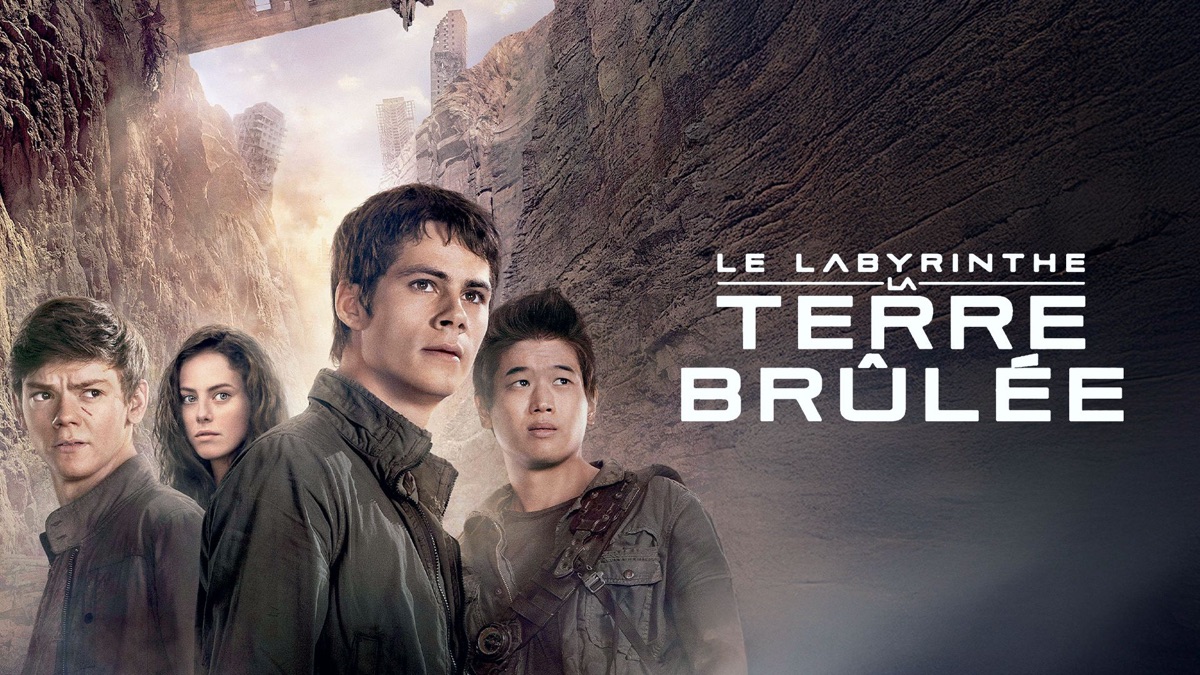 Le Labyrinthe La Terre Brûlée Distribution