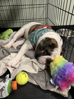 Flats Tattoo photo 9