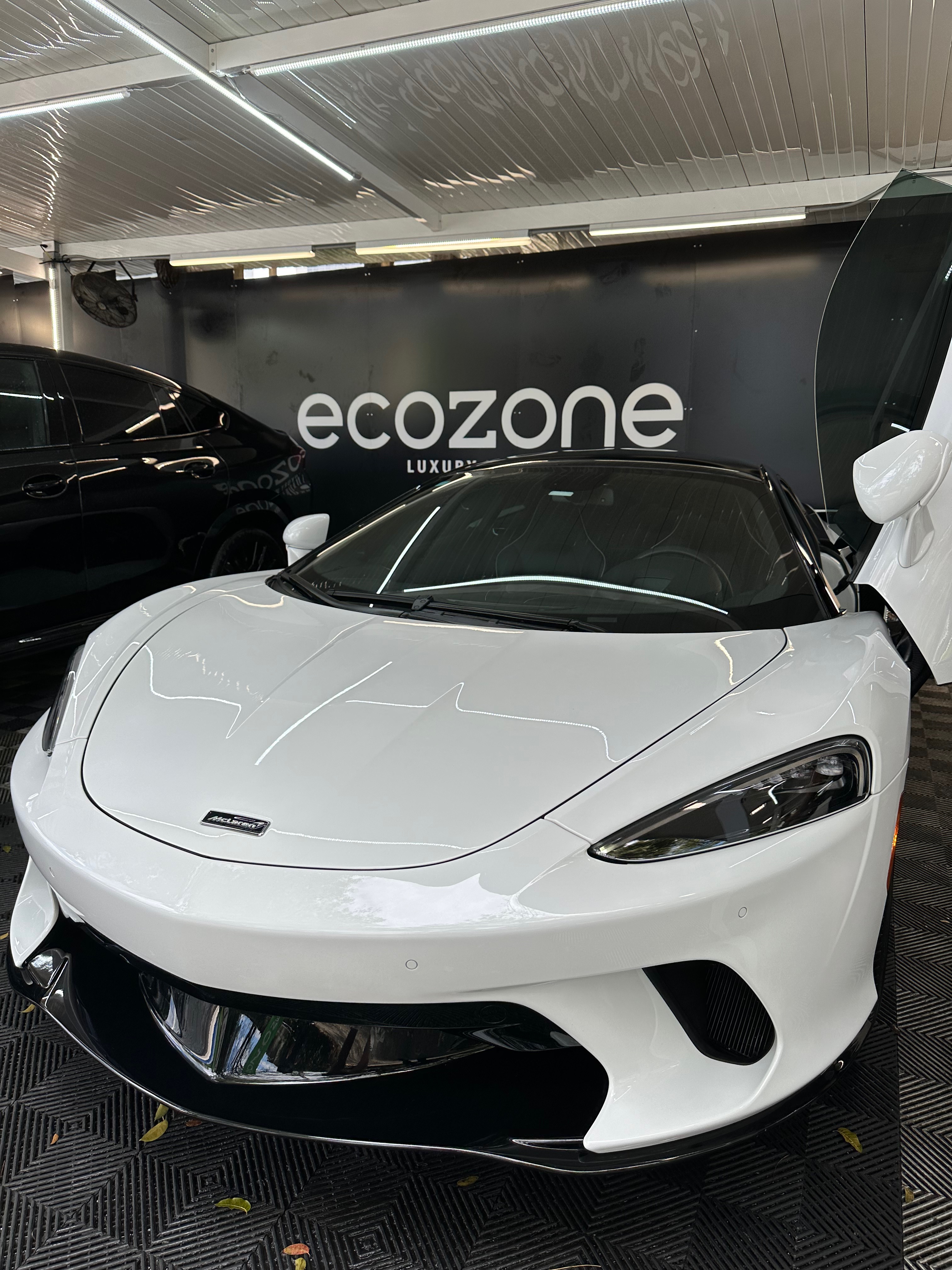Ecozone, L.L.C