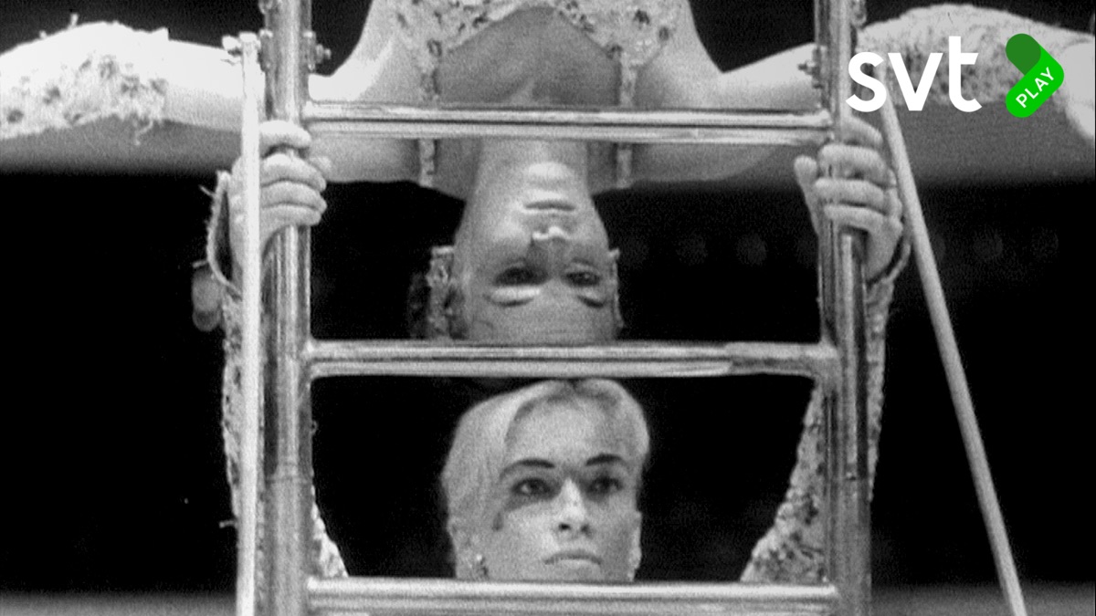 The Show of Shows: 100 Years of Vaudeville, Circuses and Carnivals ...
