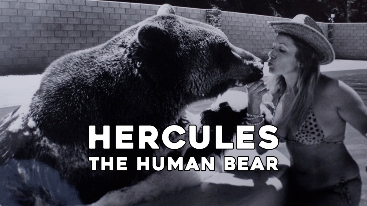 Hercules And The Bear