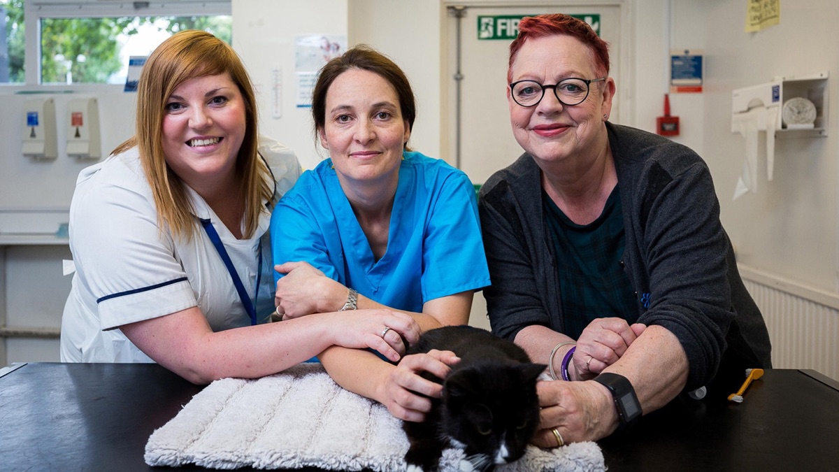 ‎Episode 2 – The Kitten Rescuers (Season 1, Episode 2) - Apple TV (NZ)