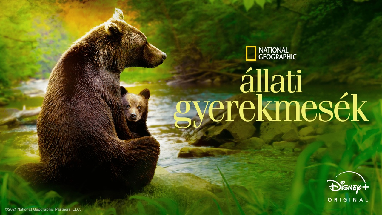 Állati gyerekmesék