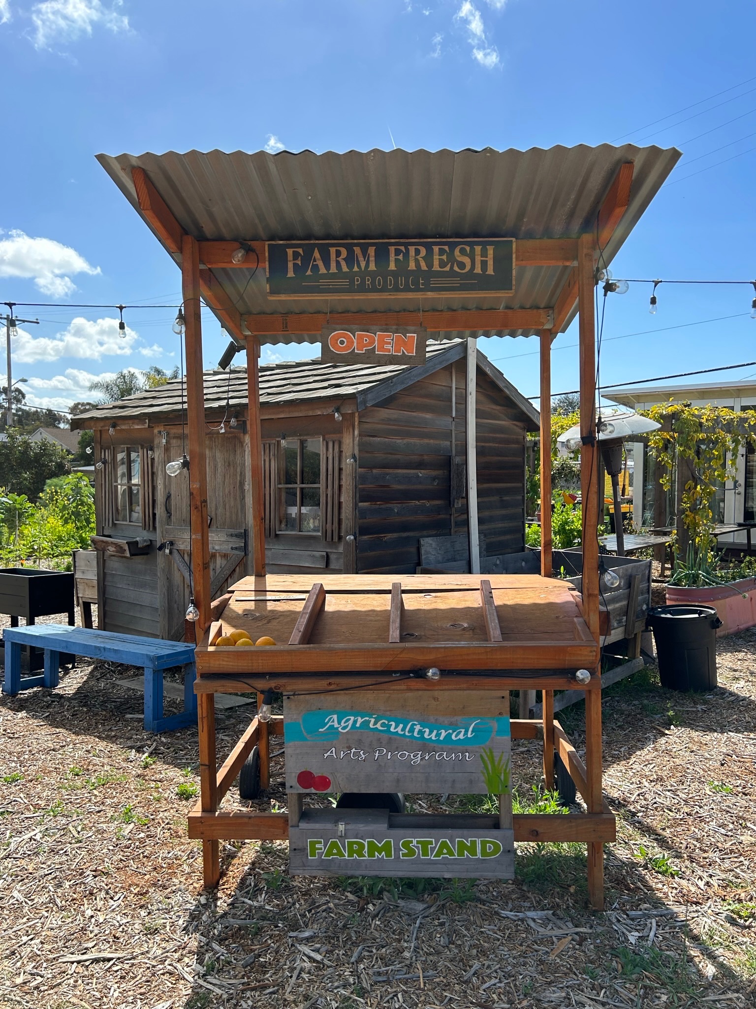 Mt. Hope Community Garden