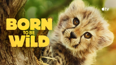 Born to Be Wild