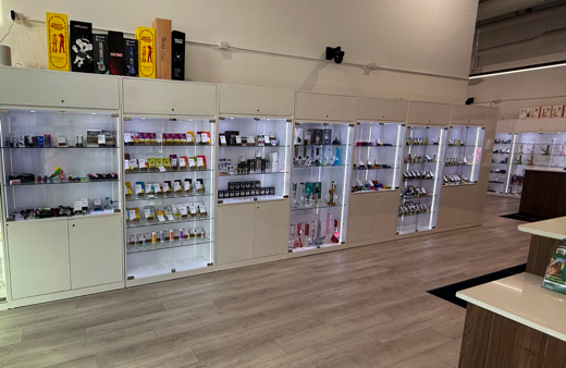 elfbar elfa master akku VapStore Arenas main image 0