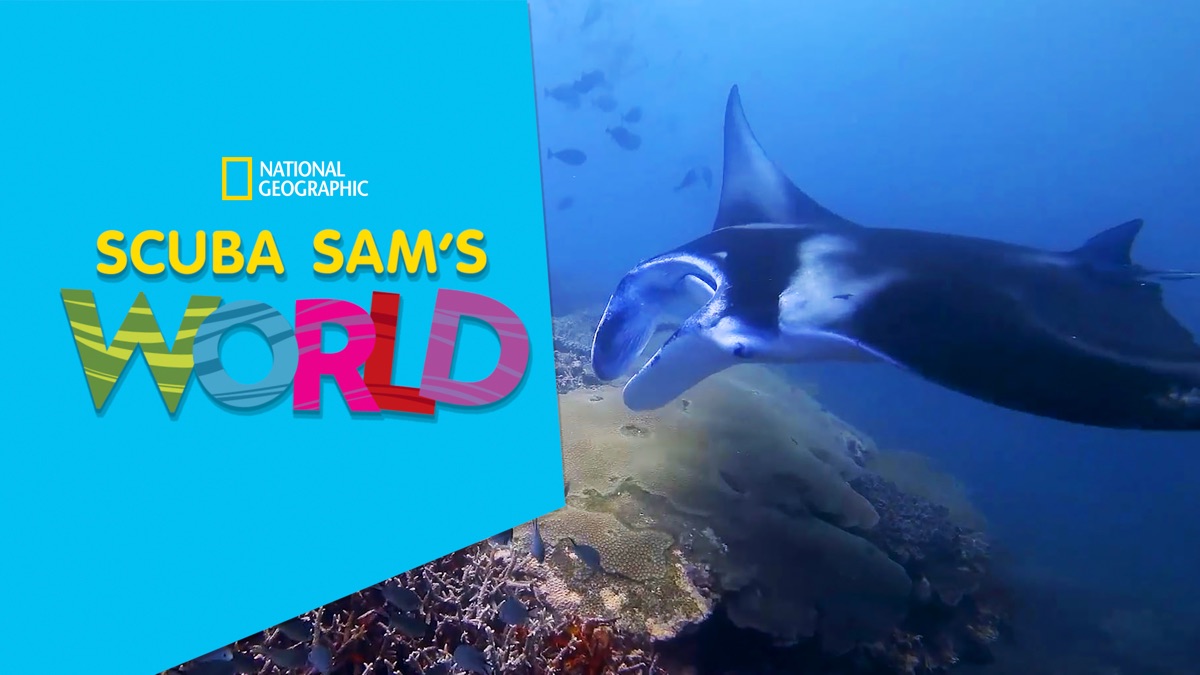 ‎Scuba Sam's World - Apple TV