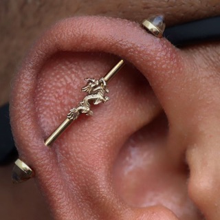 Apricity Piercing photo 2