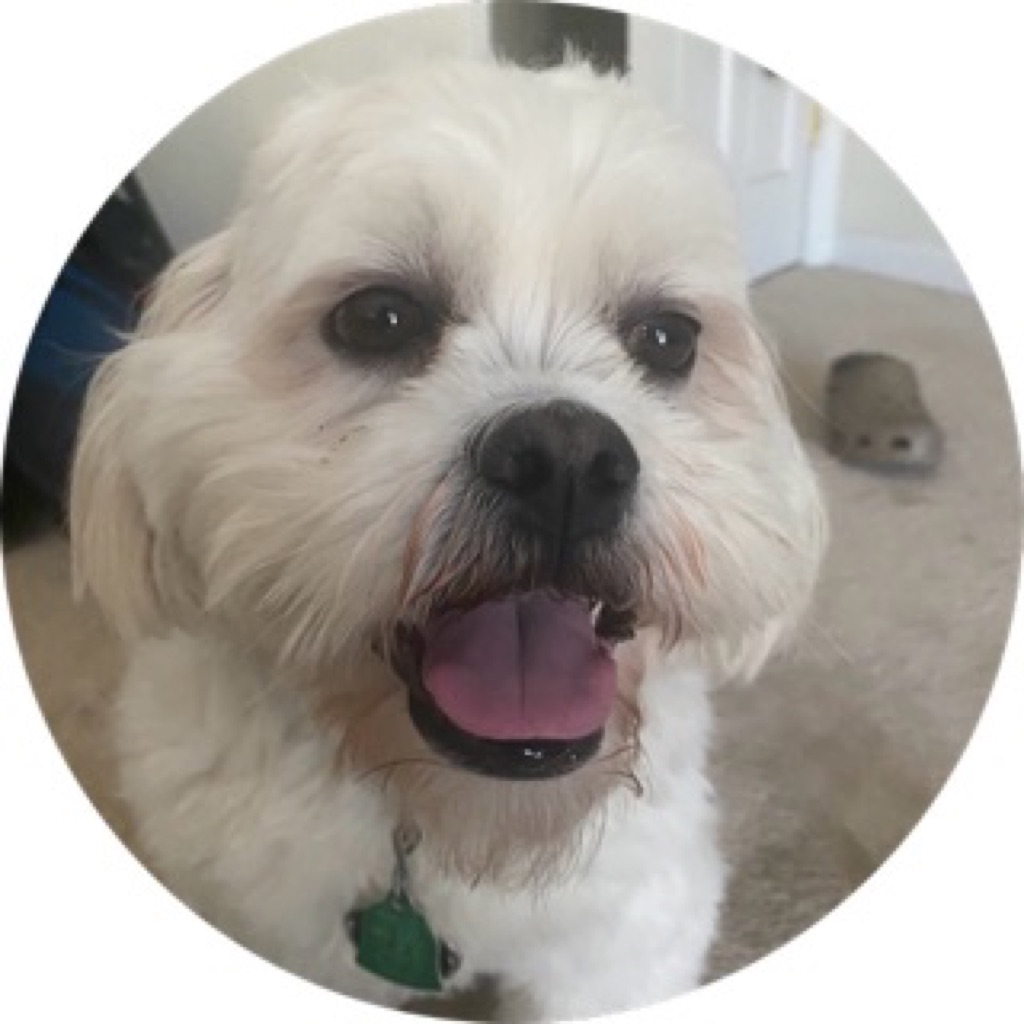 AppleMusic profile picture for @eleventh