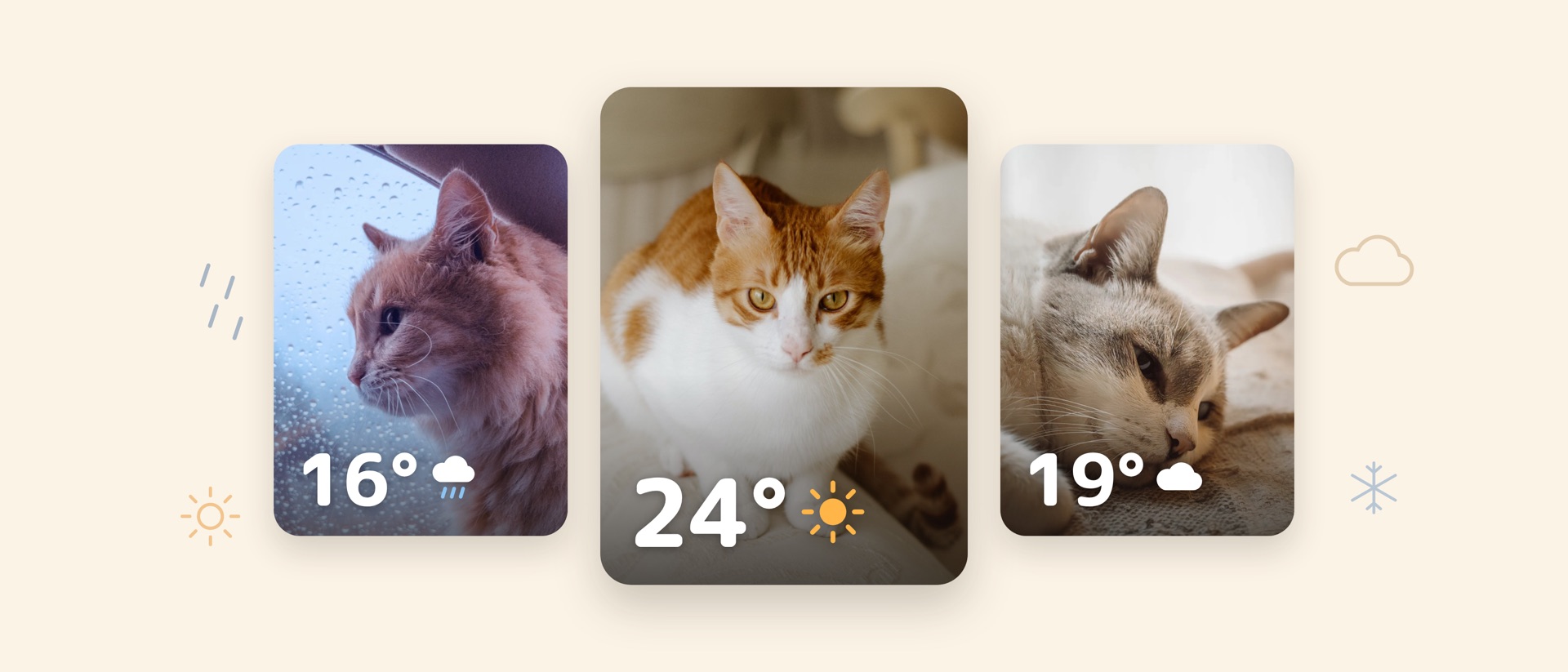 Weather Cat: Cat Calendar product page header