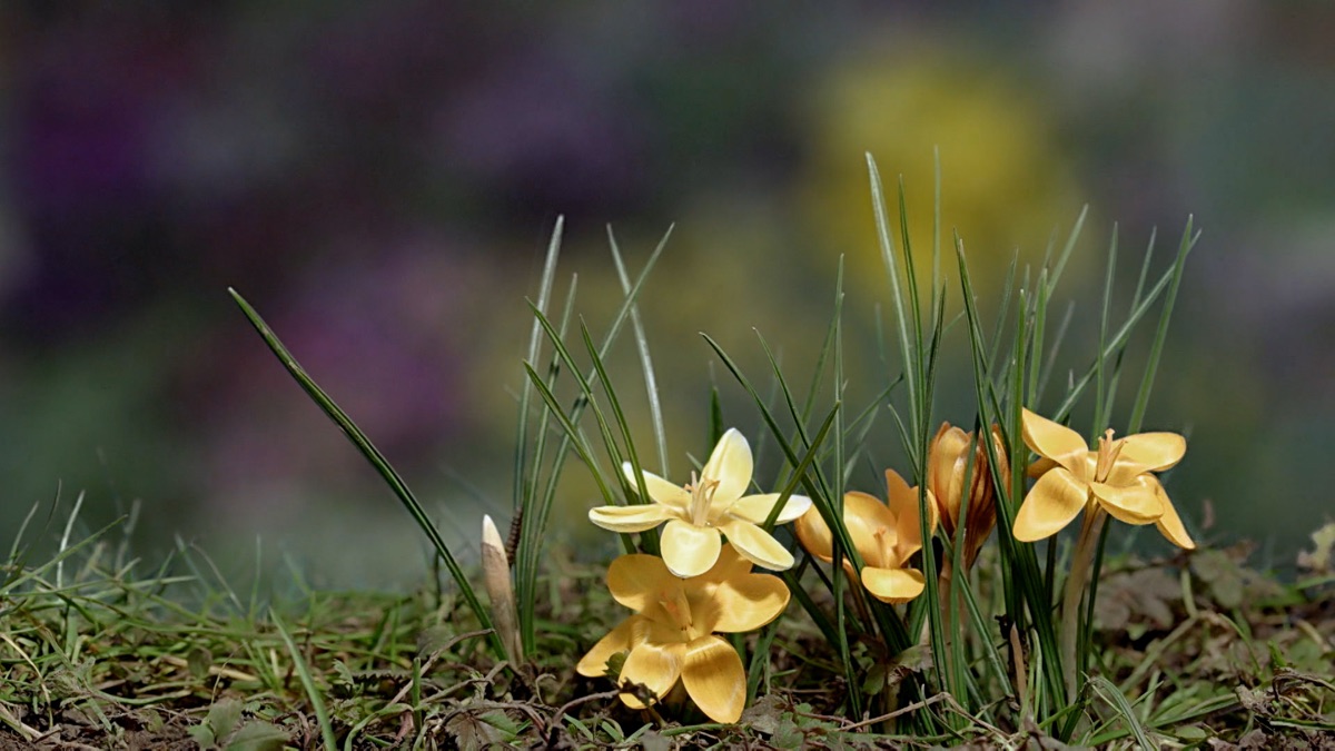 High Up In The Jura Mountains Fascinating Places (Season 2, Episode 1) Apple TV