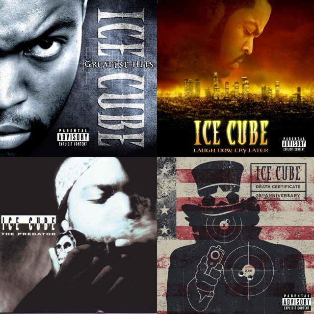 Ice Cube: Next Steps