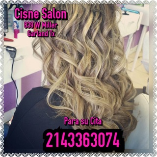 Cisne Salon