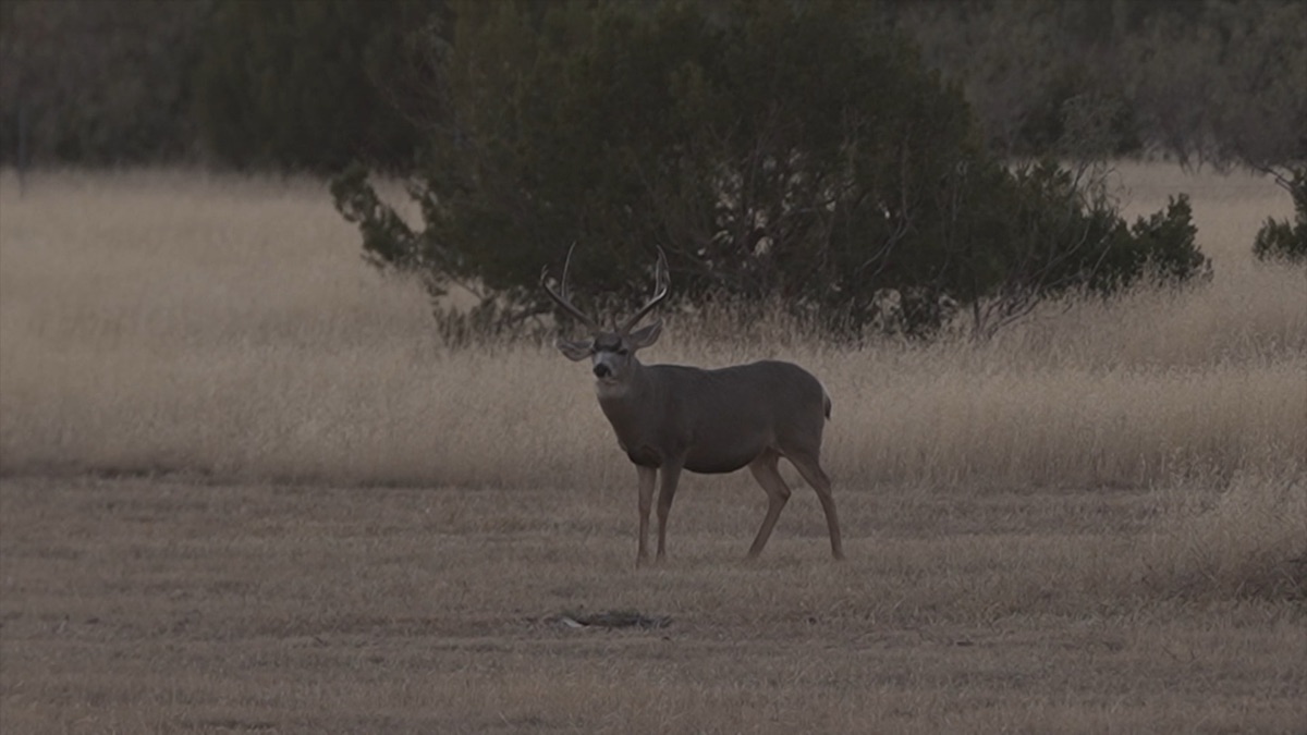 Heaven in Texas - Part 2 - Backwoods Life (Season 19, Episode 7) - Apple TV