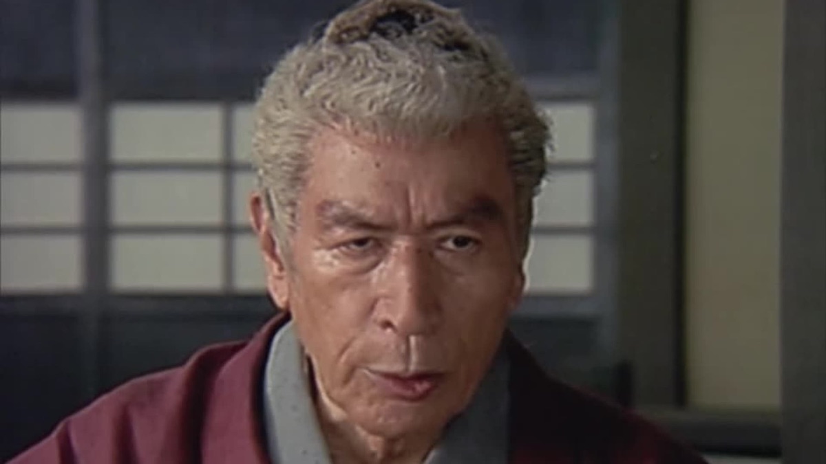 ‎美女と七人の盗賊 戦は頭でするものよ！・痛快！三匹のご隠居（シーズン1、第1話） - Apple TV (日本)