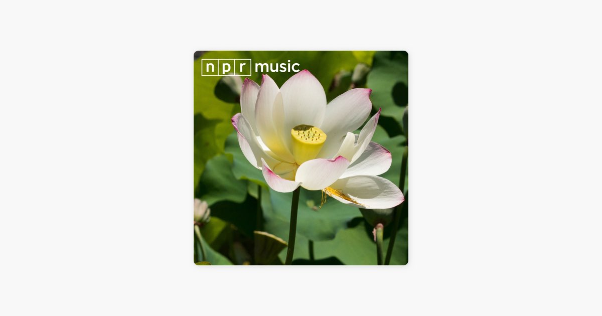 songs-to-calm-your-nerves-by-npr-music-apple-music