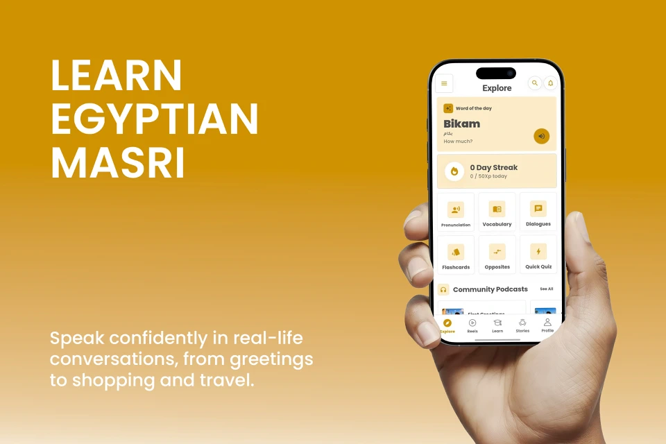 Masri Lingo: Learn Egyptian App Store search result
