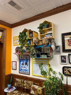 Yellow House Tattoo Collective