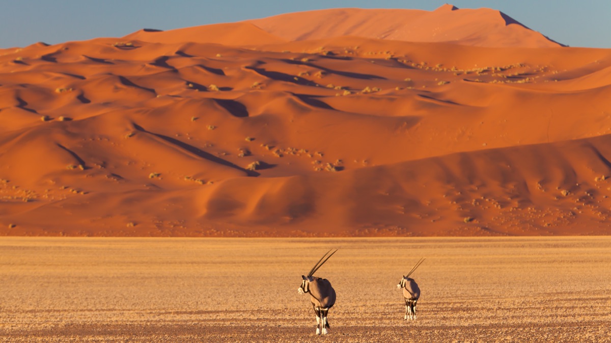 hoanib-river-wild-africa-rivers-of-life-season-1-episode-3-apple-tv